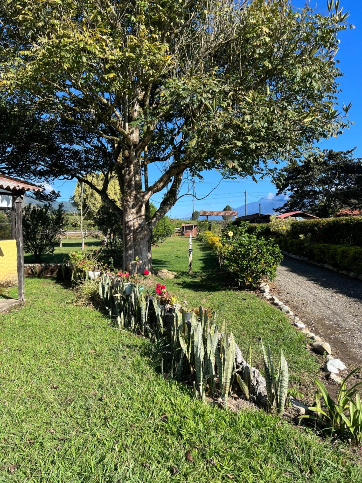 Finca Hotel Paraiso Urrao Buitenkant foto