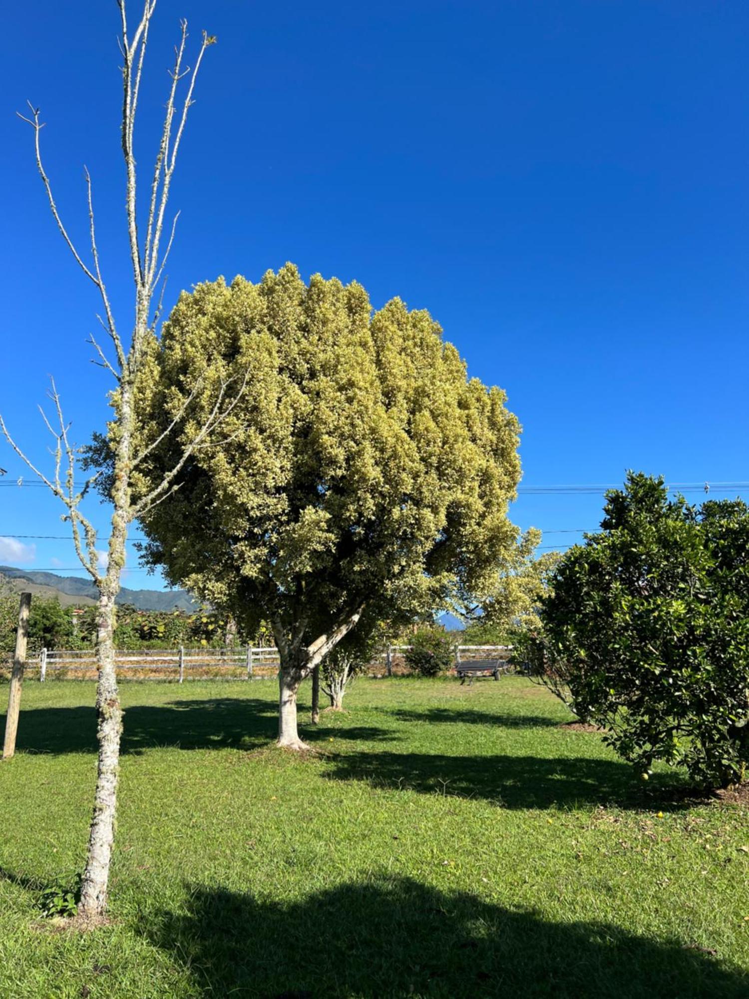 Finca Hotel Paraiso Urrao Buitenkant foto