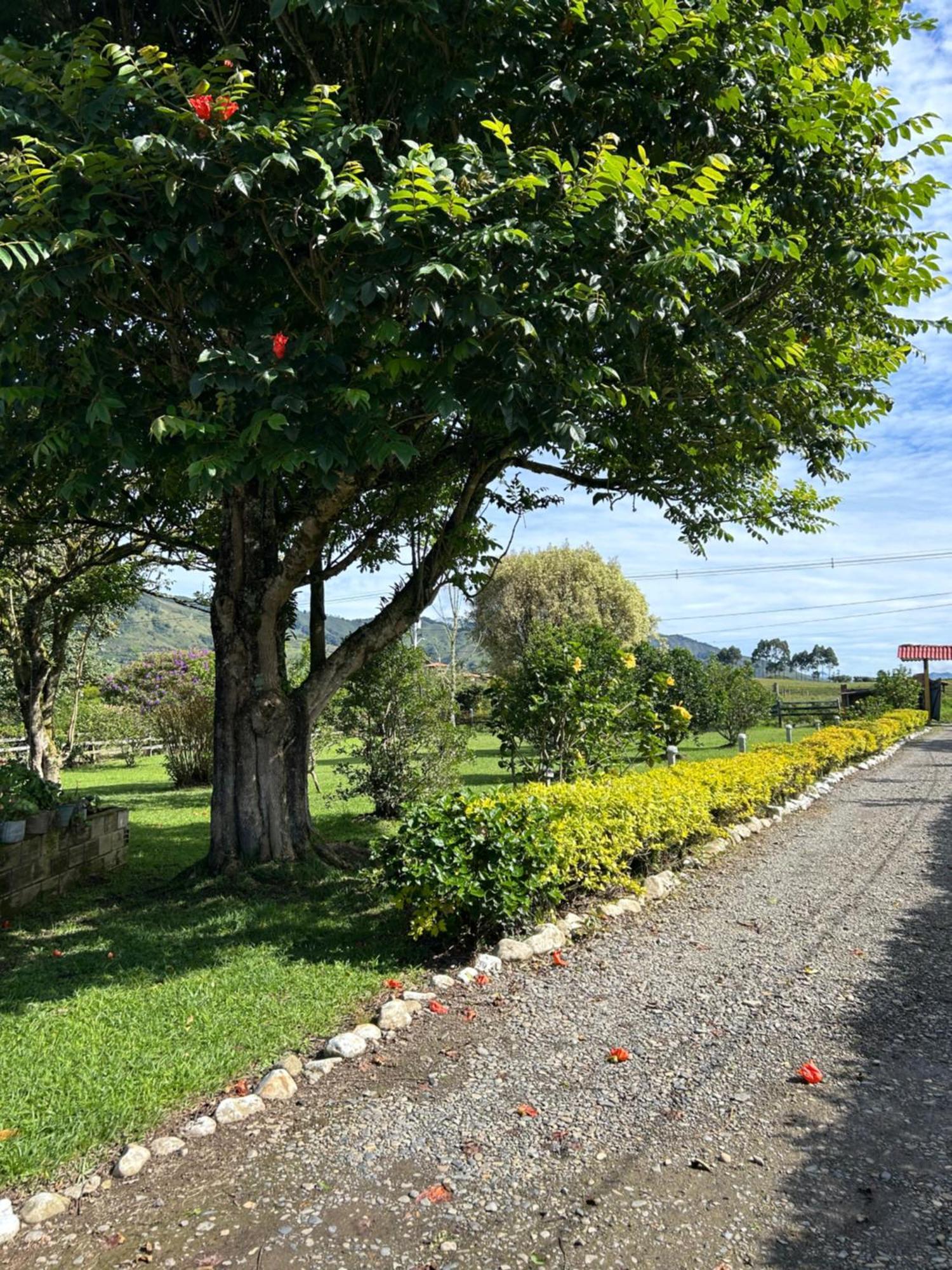 Finca Hotel Paraiso Urrao Buitenkant foto